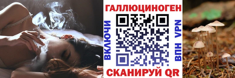 наркотики  Жуковский  Галлюциногенные грибы мицелий 